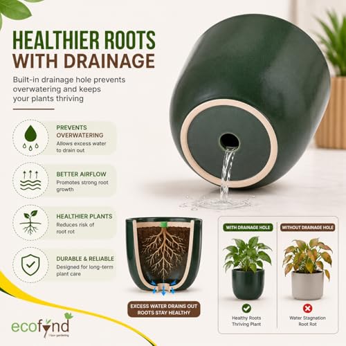 Image of ecofynd 5 Inch Ceramic Plant Pots with Drainage Hole, Modern Decorative Clay Flower Pots for Indoor Plants, Home Garden Decor for Living Room, Bedroom & Interior Spaces (Pack of 2, CPOT041-DGN)