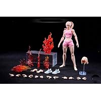 Amazon.co.jp: [Tbmodel] Promecore 1/12 フィギュア 超可動 少女