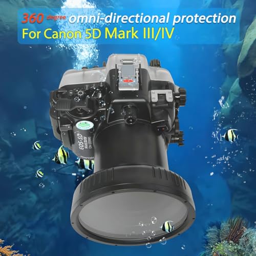 Ficha técnica Sea frogs Carcasa de cámara subacuática compatible con Canon EOS 5D Mark IV 100 mm IPX8 40 m de profundidad máxima de buceo funda impermeable para buceo surf remo - Fernando Cortés