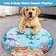 JazRvr Wasserspielmatte, Spielmatte für Katzen und Hunde, Wassermatte zur Abkühlung im Sommer, Interaktives Sensorisches Spielzeug für Tiere, Größe 65 x 65 cm