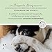 Annimally Enzymreiniger Spray 750ml gegen Katzenurin & Hundeurin XXL Packung - Tier Geruchsentferner gegen Urin Geruch - Enzym Flecken- und Geruchsentferner