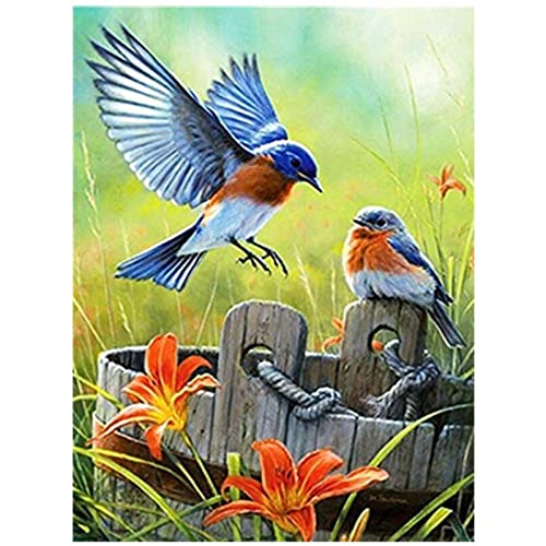 Diamant Peinture Kits oiseau 80x180cm point de croix