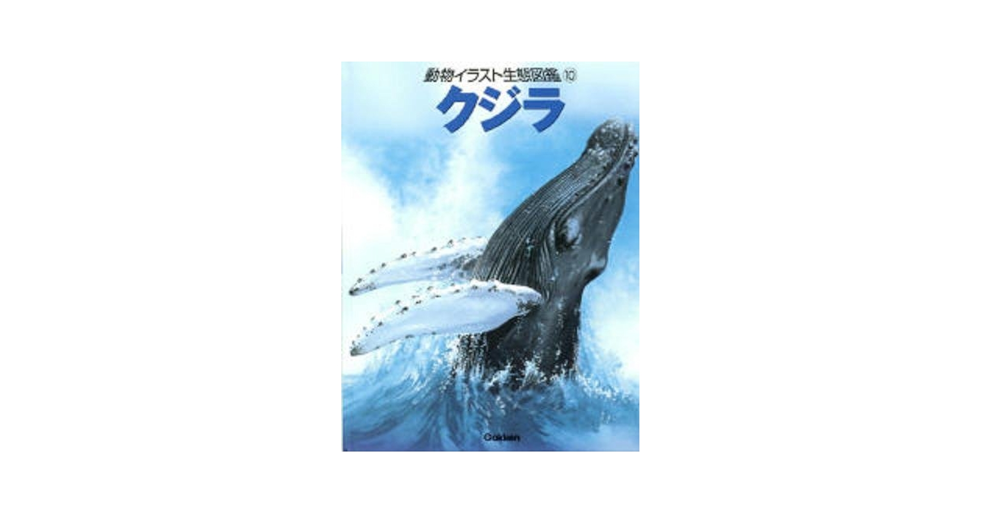 動物イラスト生態図鑑 ４/Ｇａｋｋｅｎ/ジョン・フランシス（大型本） Amazon.co.jp: 動物イラスト生態図鑑 (8) : ジョン フランシス