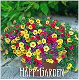 Flower seeds Petunia Super Cascade Mixed 100 PELLETS (HANGING BASKETS)garden helper,,#93B7N0