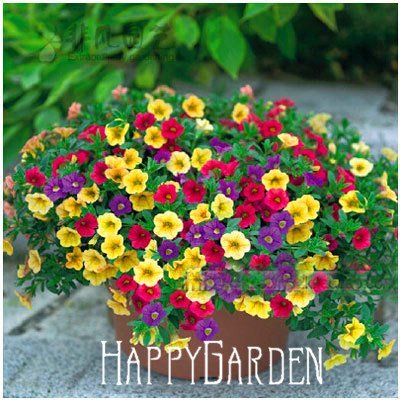 Flower seeds Petunia Super Cascade Mixed 100 PELLETS (HANGING BASKETS)garden helper,,#93B7N0