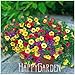 Flower seeds Petunia Super Cascade Mixed 100 PELLETS (HANGING BASKETS)garden helper, Free shipping,#93B7N0