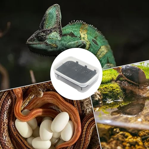 Terrário Para Lagartos - Bacia De Incubação Para Lagartixa Com 14 Divisórias,Caixa De Criação Transp