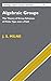 Algebraic Groups: The Theory of Group Schemes of Finite Type over a Field (Cambridge Studies in Advanced Mathematics)
