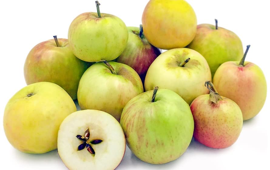 See full amazon price history chart for Green view Original All India Weather Supporting Live Apple Fruit Plant for Hot Climate Hybrid 1 Healthy Shimla Apple Tree In Nursery Grow Bag (Ambri Apple plant) Green view Original All India Weather Supporting Live Apple Fruit Plant for Hot Climate Hybrid 1 Healthy Shimla Apple Tree In Nursery Grow Bag (Ambri Apple plant) (B0BW7D18K8) Amazon Price History, Amazon Price Tracker
