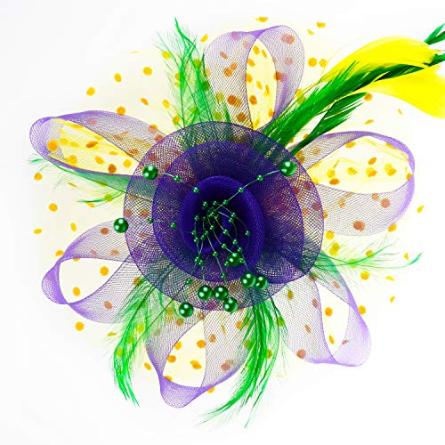 Image of DRESHOW Fascinators Hat Flower Mesh Ribbons Feathers on a Headband and a Clip Tea Party Headwear for Girls and Women