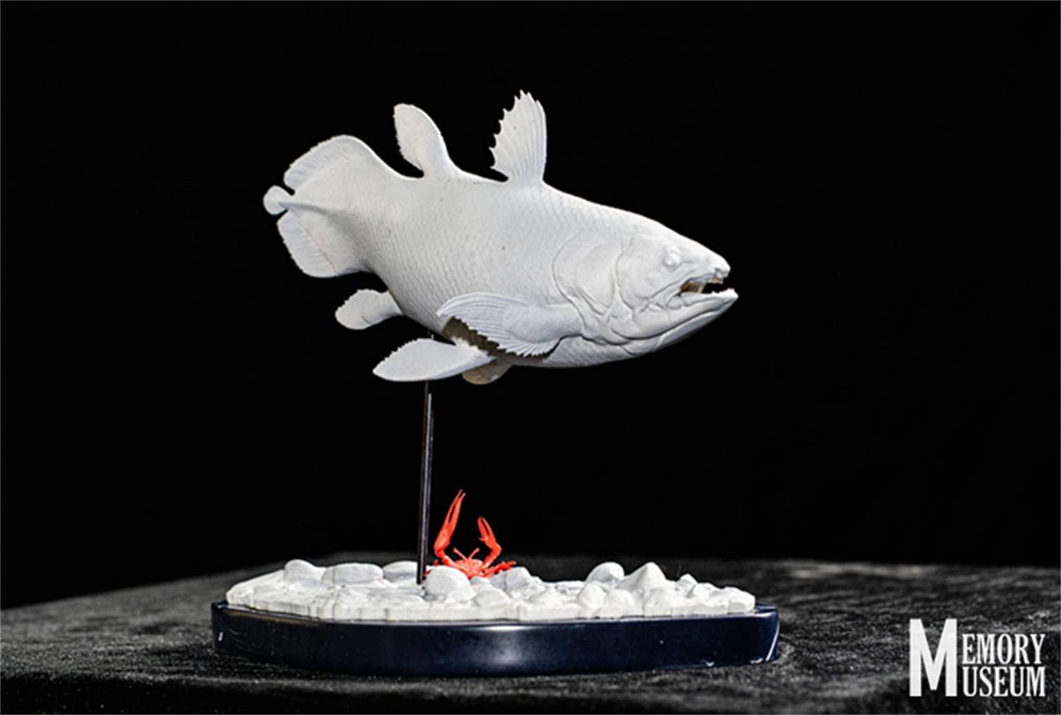 MTW-6351 蔦流木1点物　アーチ流木　90cm水槽用流木　アクアリウム MTW-6351蔦流木1点物 アーチ流木 90cm水槽用流木 アクアリウム