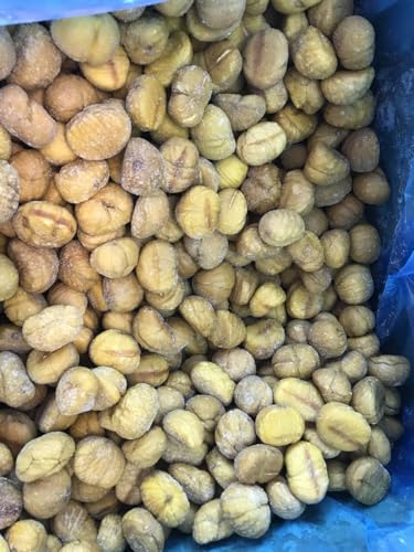 ⓀĂނÌIAi 10kgiƖpj Y Y ނς ⓀI y[XgHp fU[gEفEaَqp