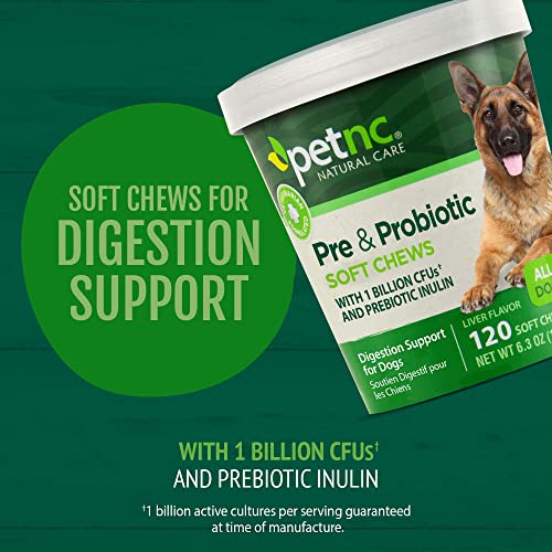 Petnc Natural Care Pre & Probiotic Soft Chews, 120 Ct (Pack Of 1) #TOP1