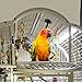 HappyBird Lighting Bird Cage Light with Chew Guard - Full Spectrum LED Pet Light - Simulates Natural Environment - Safe for Hookbill Birds – Easy to Install - (24
