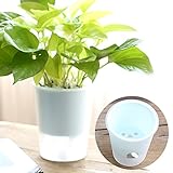 Gracias al diseño de doble capa que permite almacenar el exceso de agua en la parte inferior de esta maceta y se proporciona a tu planta según sea necesario. También puede ayudarle a cuidar sus plantas cuando usted va fuera de un par de días o en negocios.