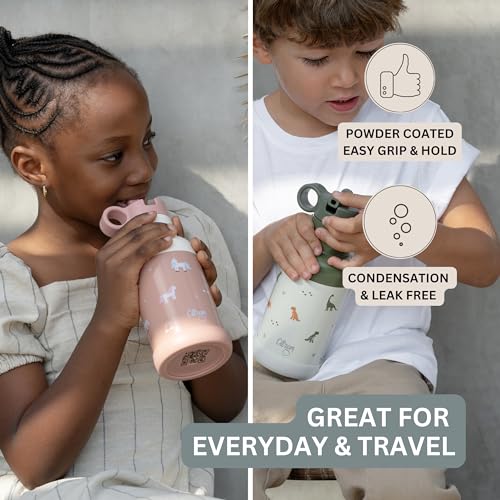 Citron Stainless Steel Insulated Water Bottle Kids 350ml, BPA & Lead-Free, Vacuum Seal Leak Proof Straw Lid - Image 4