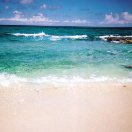 3dRose lsp_22274_2 Beautiful Sandy Beach Double Toggle Switch