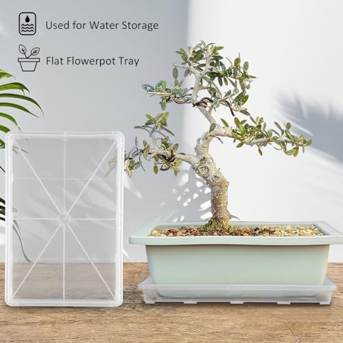 RooTrimmer Clear Seed Starter Trays 5 Pack(17"x11"x2"), Reusable Plastic Carrying Seedling & Nursery Trays, Durable Flat Pots Trays, Transparent Square Tray for Planting and Collecting Drainage Water - Image 8