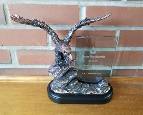 Same Day Awards The Weingroff Best In The World Flying Bronze Eagle Trophy W/Glass 10 Inches Personalize/Customize W/Engraving #TOP2