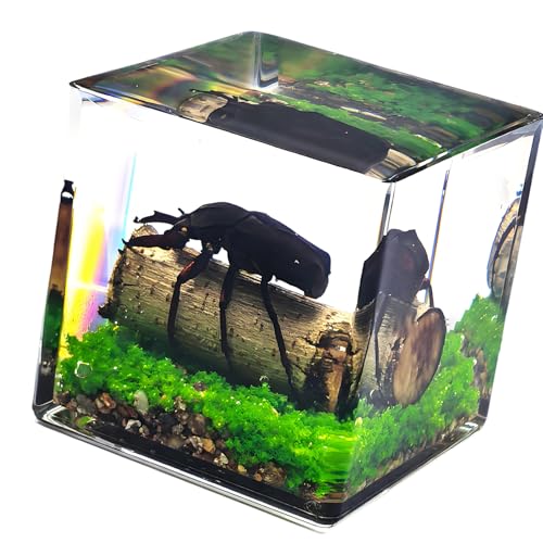 �W�{ MicroLandscape �����A�N�����L���[�u�t�������w�w�K�t�B�M���A �M�t�g�⋳��ړI���s�̂��y�Y