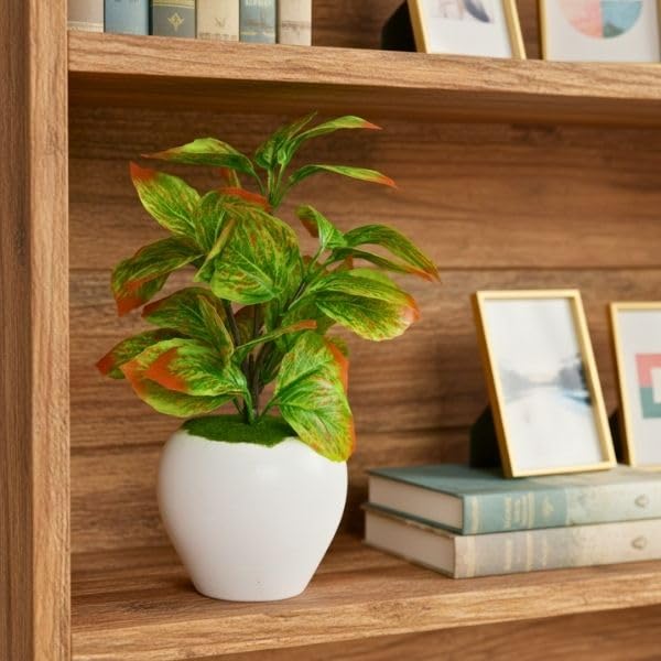 Image of fancymart Artificial Plant Leaves in Apple Pot (30 cm Height) | Small Potted Plant for Office Desk | Home Decor for Living Room | Cafe & Restaurant Table Decoration