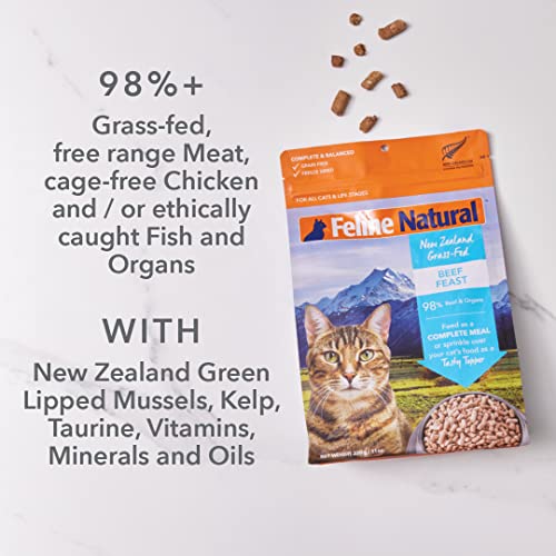 Feline Natural Grain-Free Freeze Dried Cat Food, Chicken & Lamb 11Oz #TOP1