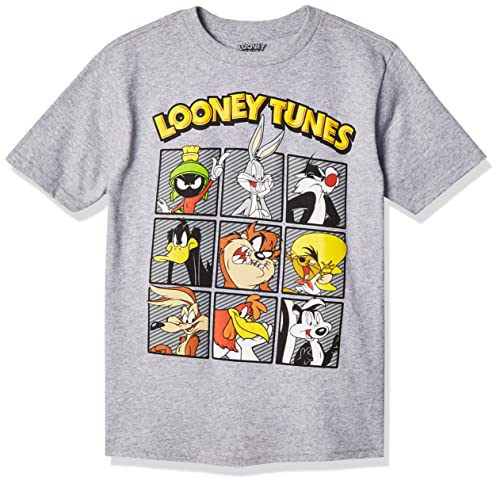 Image of Looney Tunes Boys' Short Sleeve T-Shirt, grey, 18-20