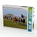 Produktbild CALVENDO Puzzle Fiesta de la Tradición in San Antonio de Areco, Provinz Buenos Aires 1000 Teile Lege-Größe 64 x 48 cm Foto-Puzzle Bild von Bernd Zillich