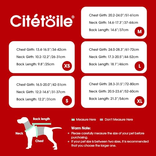 CITÉTOILE Warme Hundemantel Fleece, Wintermantel Winterjacken für Kleine/Große/Mittlere Hunde, Hundejacke Hundekleidung Hundepullover mit Geschirrloch für Outdoor Indoor, Rot, M