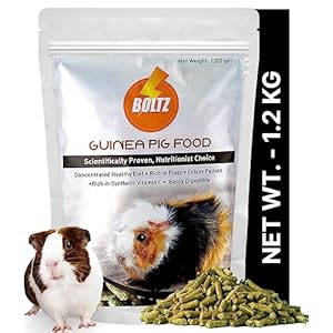 BOLTZ Pellet Guinea Pig Food For All Life Stages, Vegetable Flavor, Nutritionist Choice (ISO 9001 Certified), Medium, 1200g