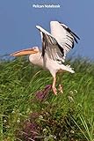  Pelican Notebook: Cool Pelican notebook - Travel Journal to write in - 120 pages - 6\