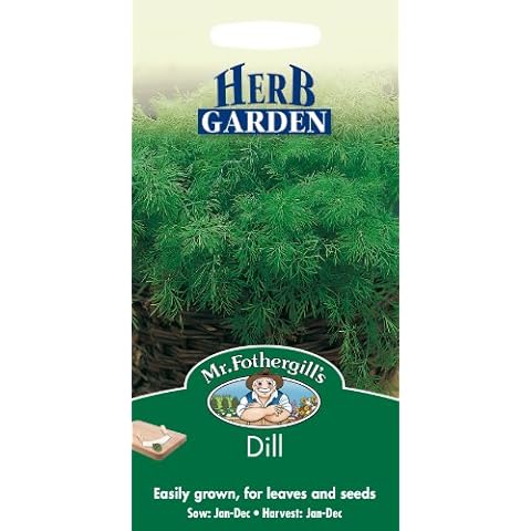 Mr Fothergill's Dill Herb Seeds for Pots Cover