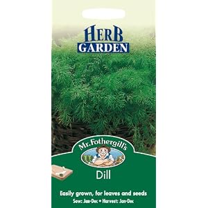 Mr. Fothergill’s 14652 Dill-Kräutersamen