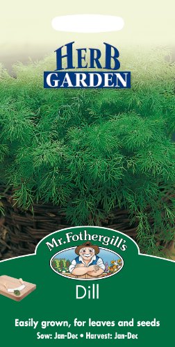 Mr. Fothergill's 14652 Dill-Kräutersamen