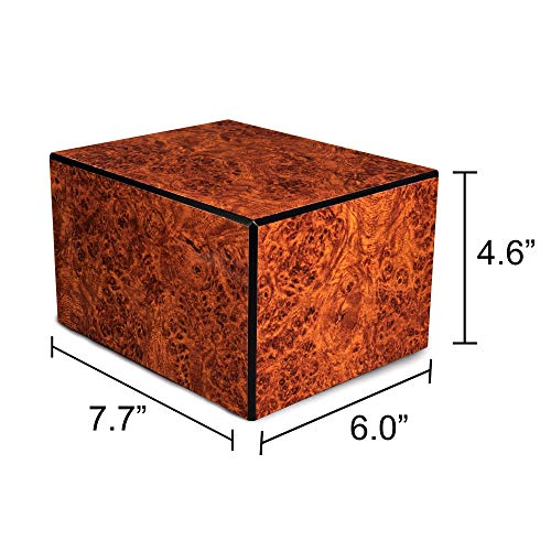 Chateau Urns - Society Collection - Adult Cremation Urn - Memorial Box for Ashes - Large (up to 205 lbs) - Burl Finish - Thumbnail 7