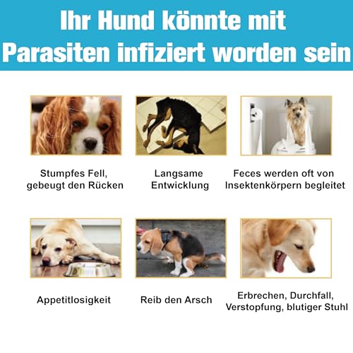Advanllent Zeckenschutz für Hunde 6 Pipetten, Spot On Hund, Zeckenmittel für kleine Hunde 2 bis 10 kg, Hunde flohmittel entwurmungsmittel für Hunde, gegen Flöhe & Zecken