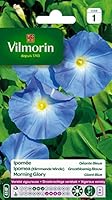 Vilmorin 5323541 Ipomée mit großen Blüten, Blau, 90 x 2 x 160 cm