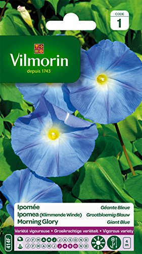Vilmorin 5323541 Ipomée à Grande Fleur, Bleu, 90 x 2 x 160 cm Cover