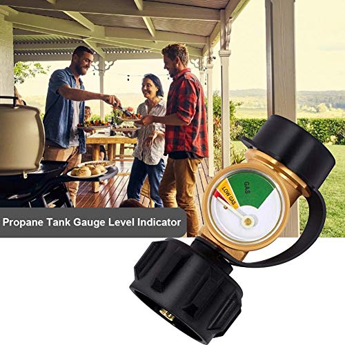 niyin204 briskay Universal Propane Tank Gauge Level Indicator Leak Detector Gas Pressure Meter, Adapter Converts cost-effective