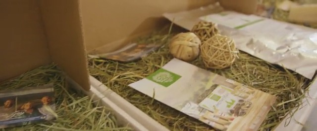 Small Pet Select-Sampler Box, 2ND Cutting, 3RD Cutting Timothy Hay, Oat Hay, & Orchard Hay - image 7