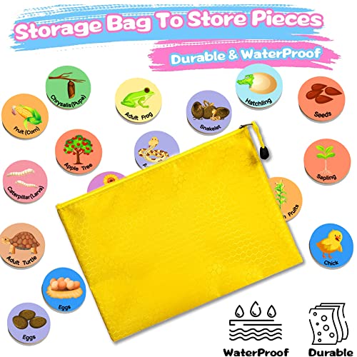 Heykiddo Life Cycle Toys For Kids, Learning & Educational Toys, Montessori Toys For Toddler Preschool Science Learning Activities Toys For Age 3 4 5 6 7 8+ #TOP3