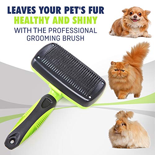 Rexipets Self-Cleaning Slicker Brush - One-Click Cleaning Function - Gentle & Effective Pet Hair Remover - Dog Grooming Accessories for Small, Medium & Large Dogs and Cats