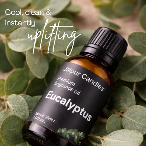 Image of Fragrance Oil | 30 ml | Aroma Oil for Home Fragrance | Best for Aromatherapy | Use in Diffusers, Candles, Air Fresheners (30ML, Eucalyptus)