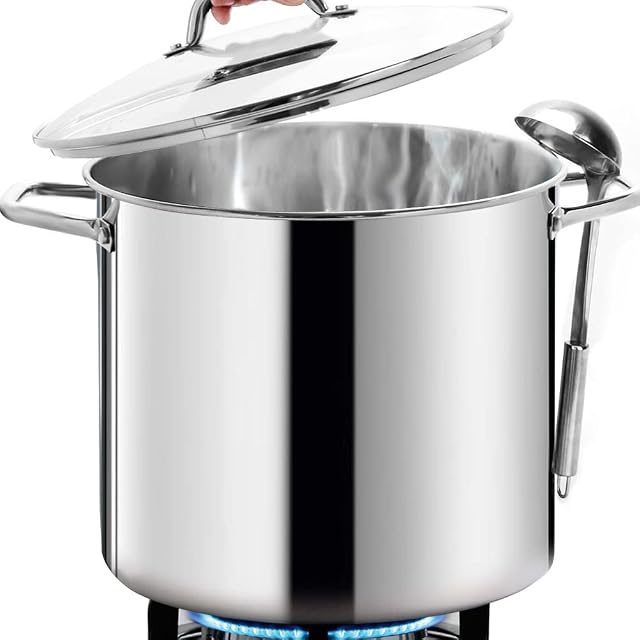 HOMICHEF Large Nickel Free Stainless Steel Stock Pot with Lid (28 cm, 11 Litre) - Mirror Polished Stock Pot 11L with Lid - Heavy Soup Pot Large Cooking Pot with Lid - Healthy Cookware Induction Pot