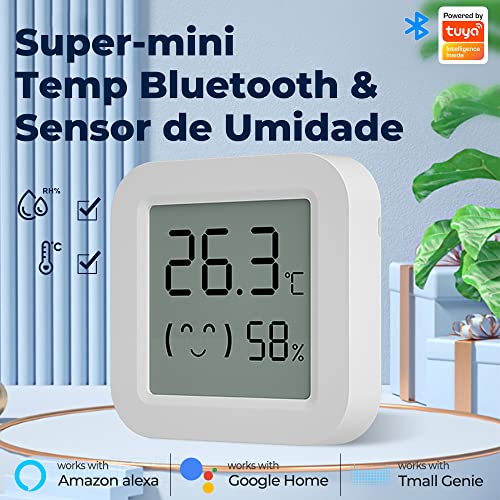 Termômetro higrômetro Wifi, digital higrômetro, Mini e preciso Interno Sensor de temperatura de umid