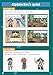 New Reading Activity Book for Ages 4-5 (Reception) (CGP Reception)