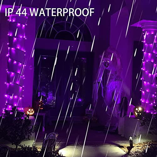 Image of Dazzle Bright 200 LED Halloween Mini String Lights, 65FT Light Up 8 Modes Halloween Decorations Fairy Lights for Indoor Outdoor Room Garden Holiday Party (Purple)