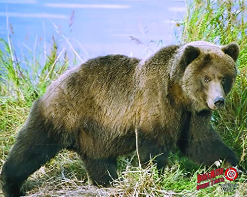 DuraMesh Archery Target Grizzly Bear 25 in. x 32 in.