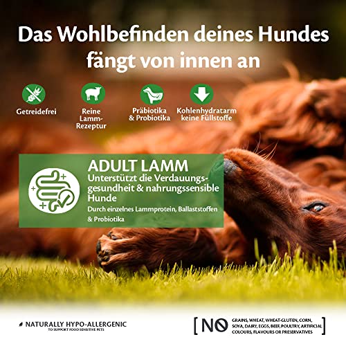 Wellness CORE Lamb 10 kg, Lamm – Hundefutter Trocken für alle Hunderassen, getreidefrei, natürlich, hypoallergen, proteinreich, hoher Fleischanteil, unterstützt eine gesunde Verdauung