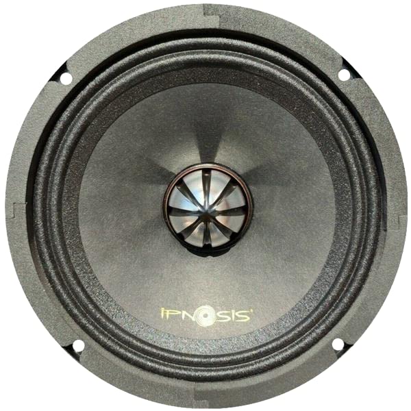 Altoparlante Medio-Basso IPNOSIS IPB 2250 - 25cm, 180W RMS, 4 Ohm, 100dB Sensibilità - Foto 2